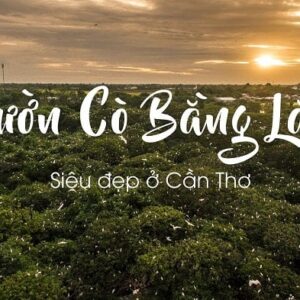 Vườn Cò Bằng Lăng - Du lịch Cần Thơ 3 ngày 2 đêm