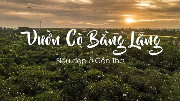 Vườn Cò Bằng Lăng - Du lịch Cần Thơ 3 ngày 2 đêm